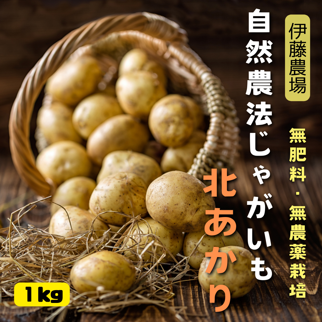 https://fukinoto.com