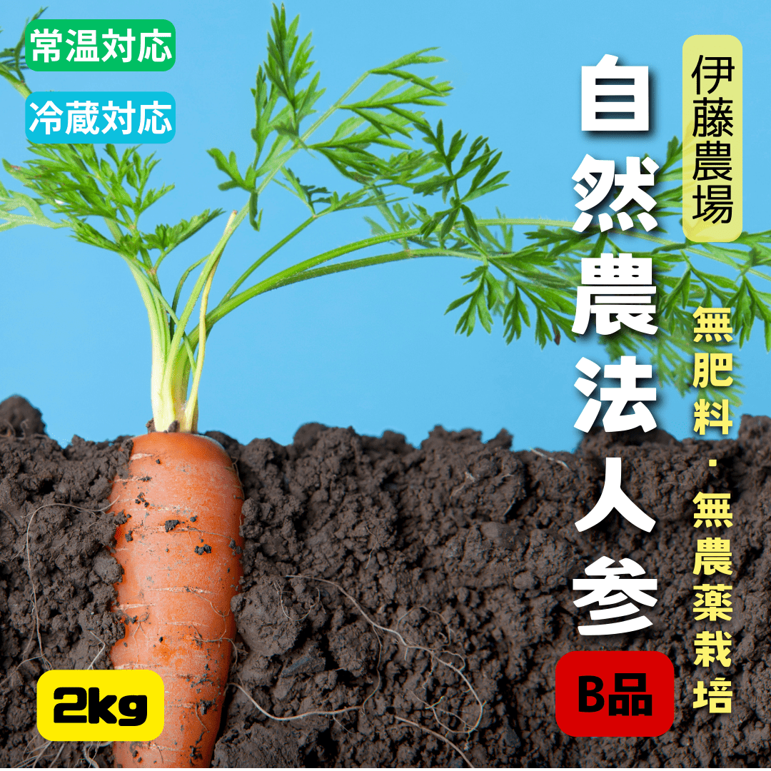 無農薬・無肥料人参B品 2kg【伊藤農場】 休止中
