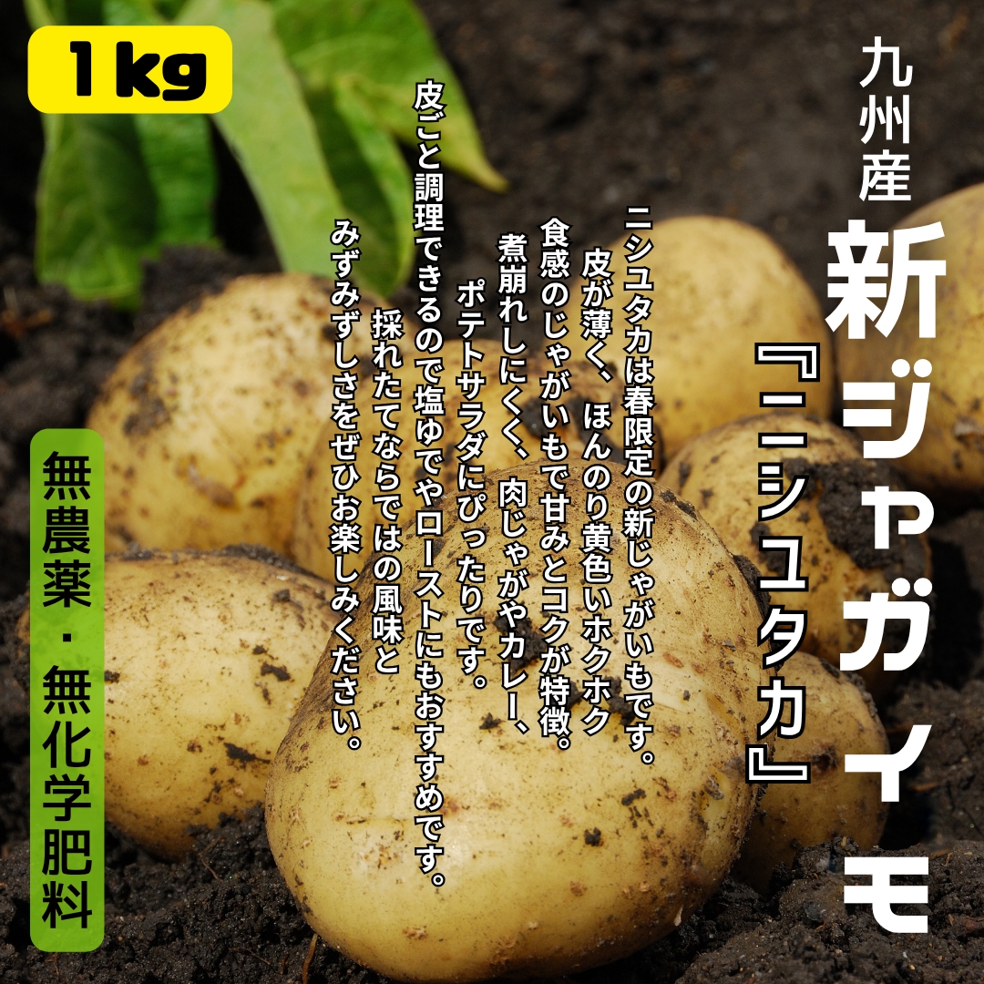 https://fukinoto.com