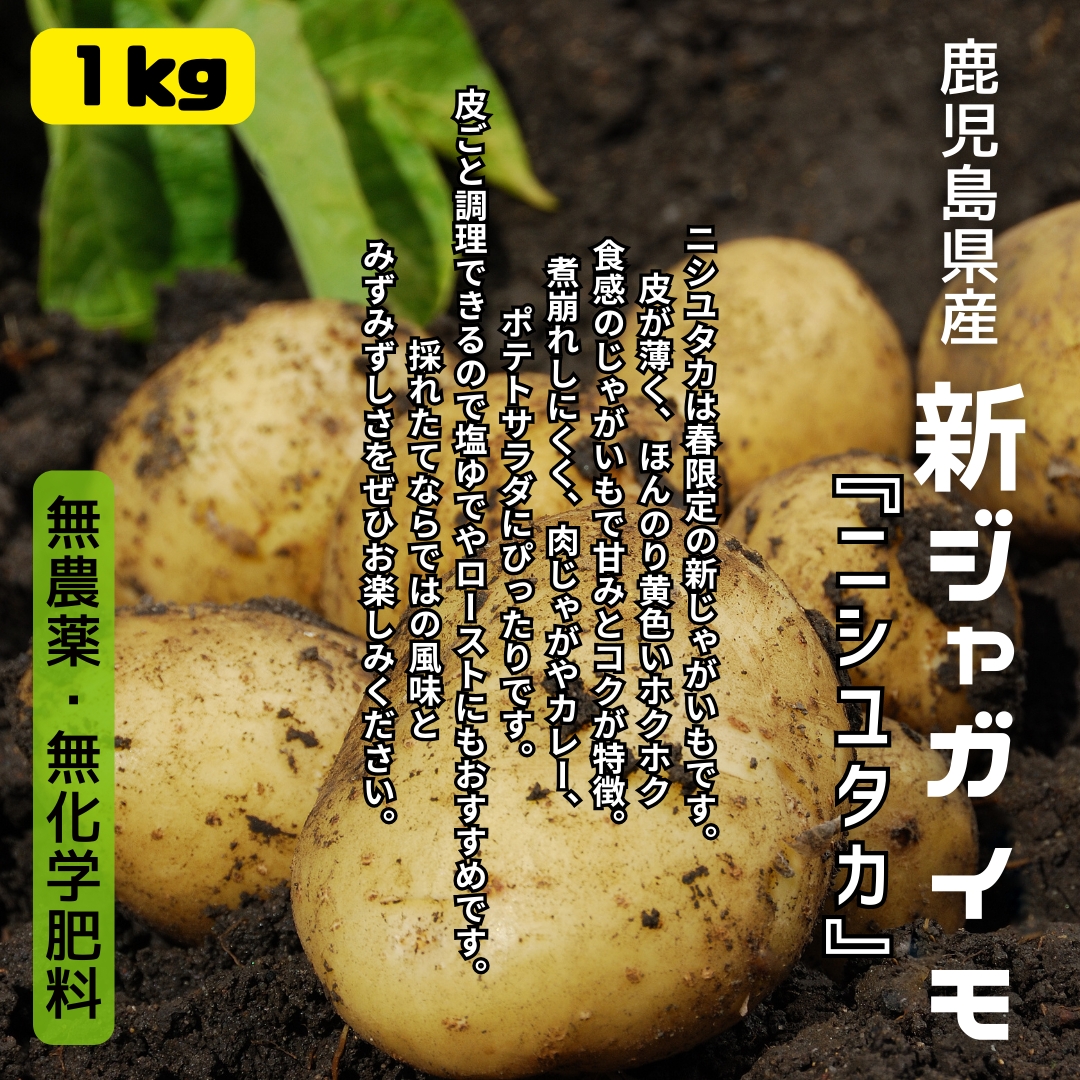 https://fukinoto.com