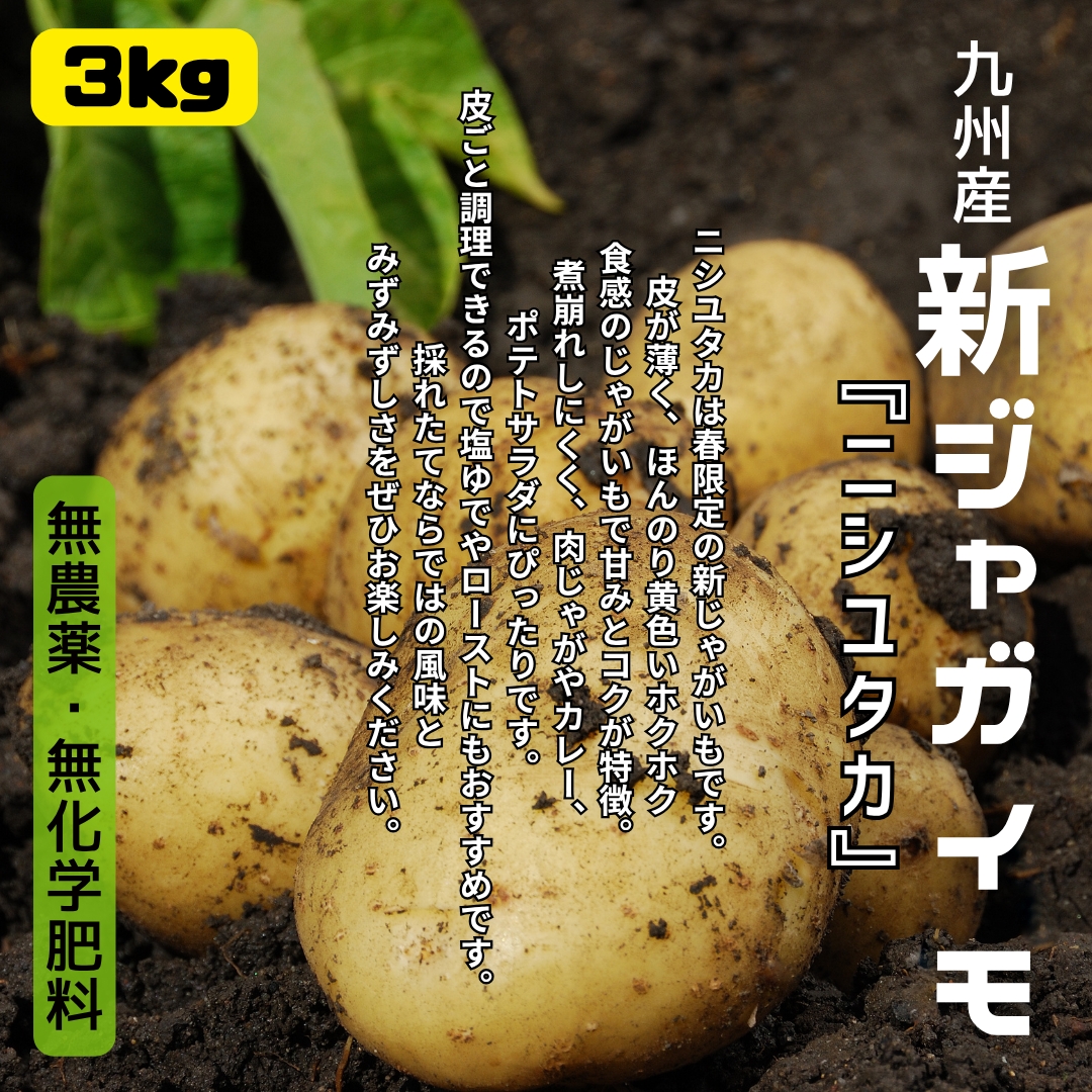 https://fukinoto.com