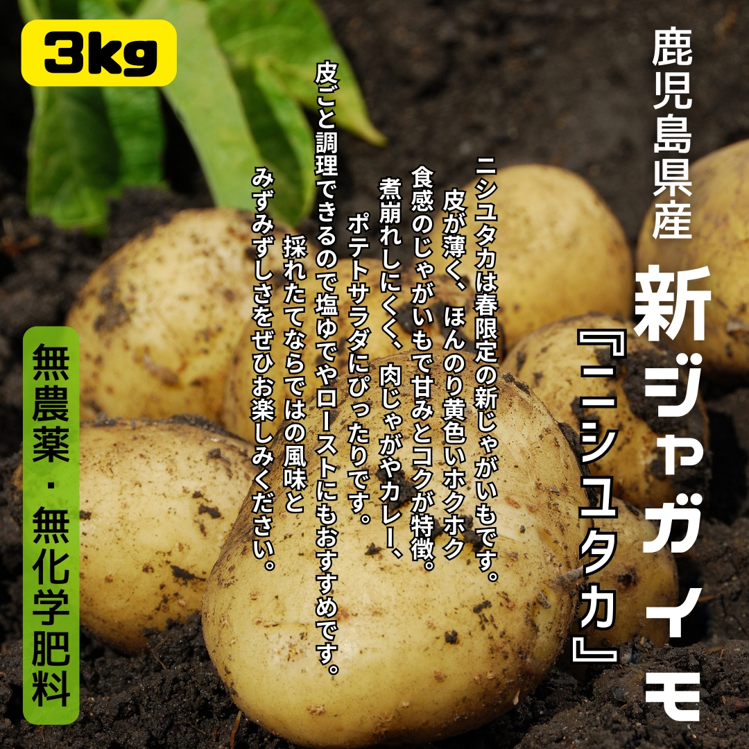 https://fukinoto.com