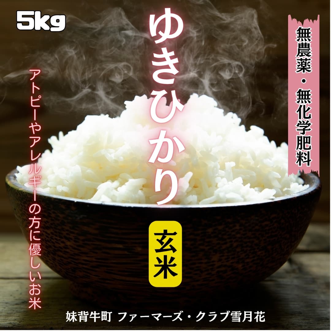 https://fukinoto.com