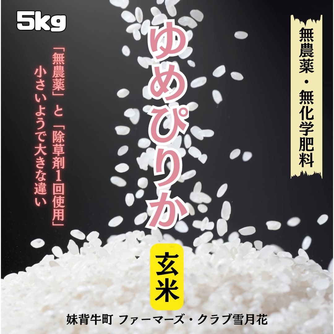 https://fukinoto.com