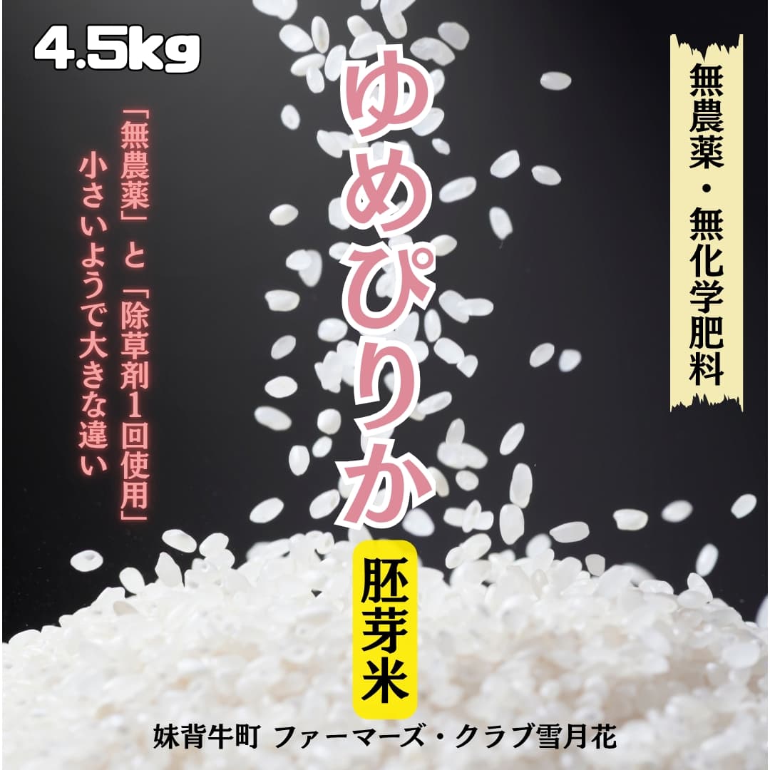 https://fukinoto.com