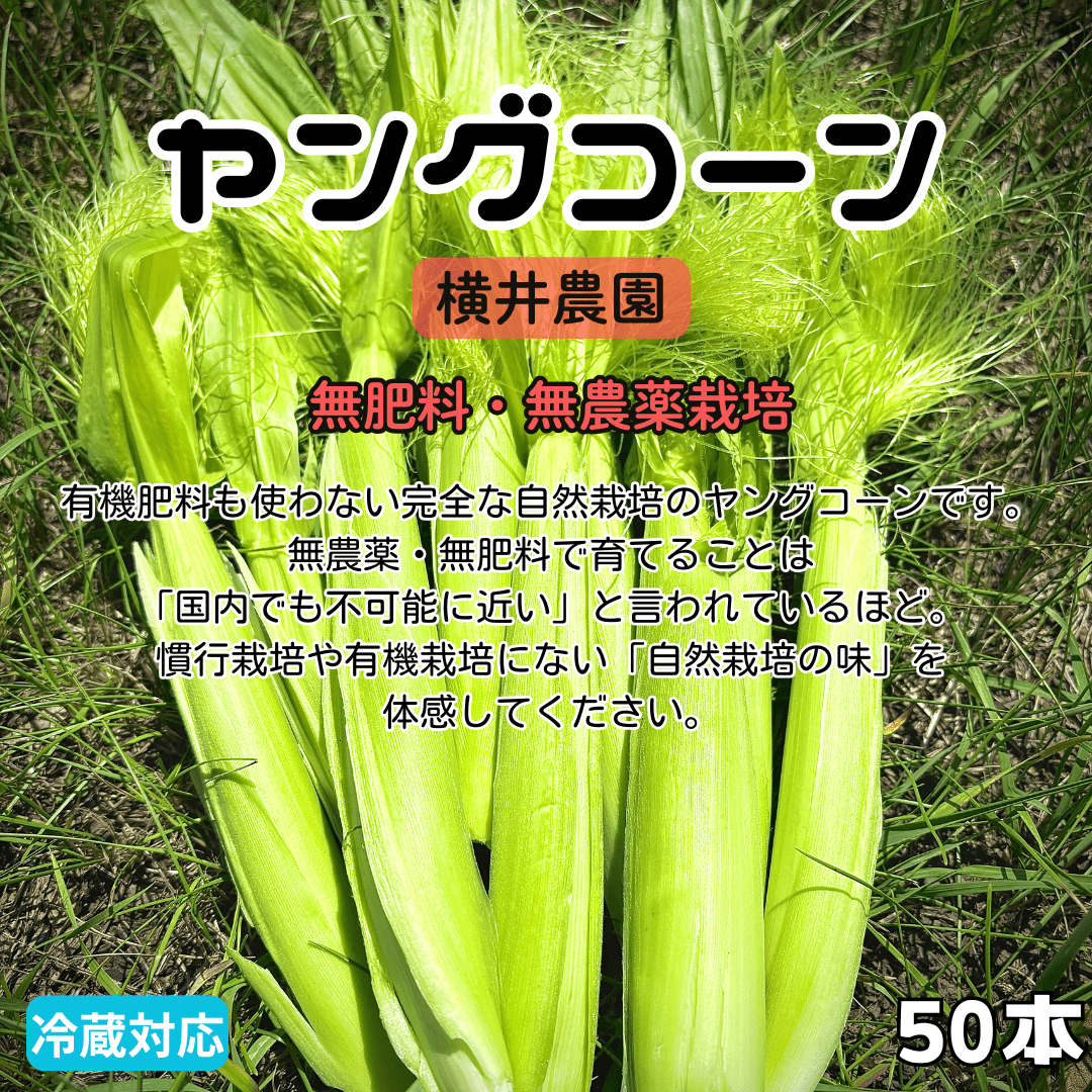 https://fukinoto.com
